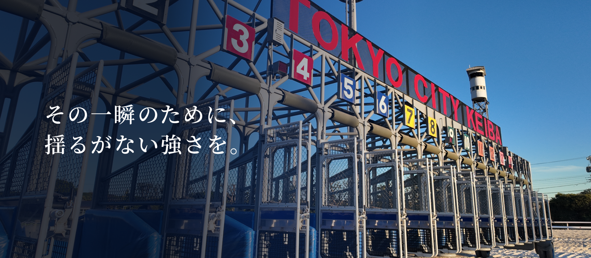 株式会社 日本スターティングゲート