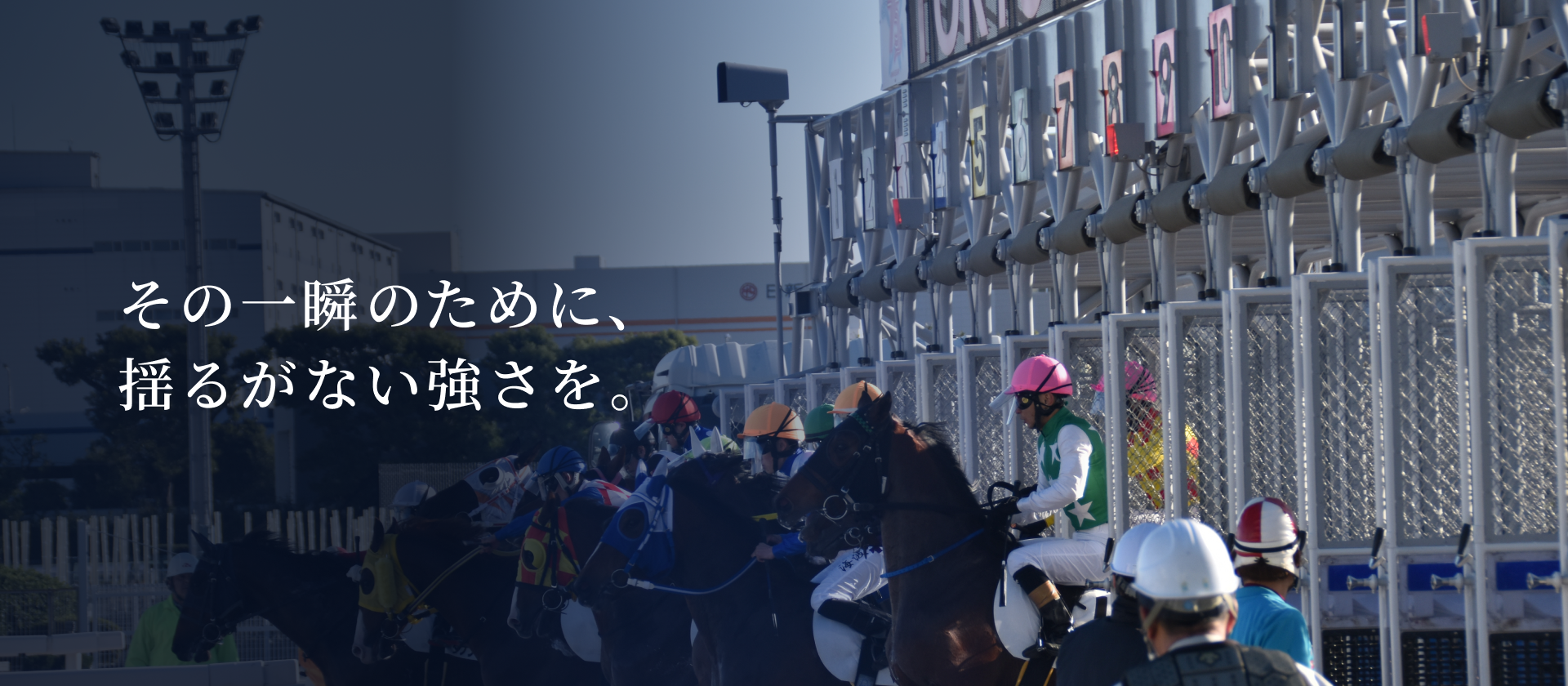 株式会社 日本スターティングゲート