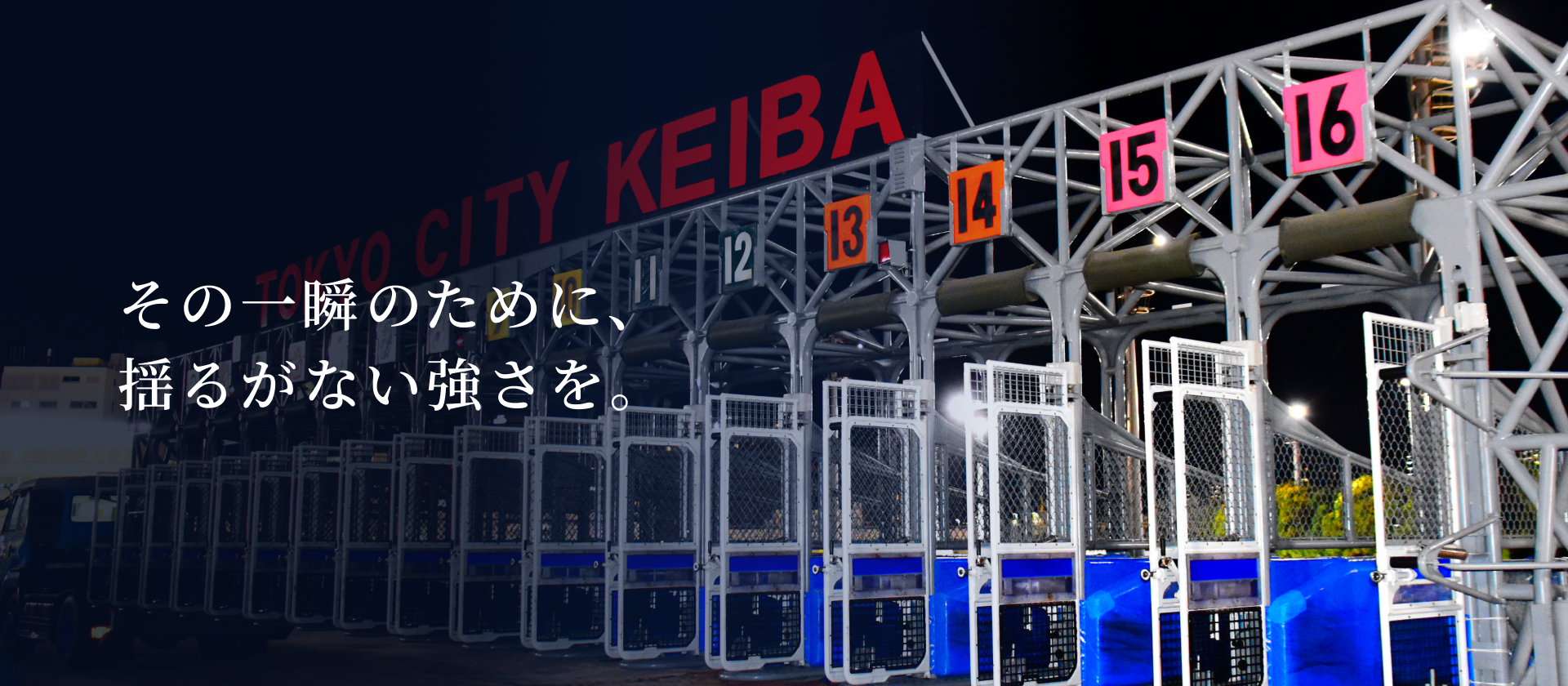 株式会社 日本スターティングゲート